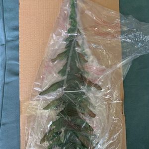 Evergreen Wall Hanging